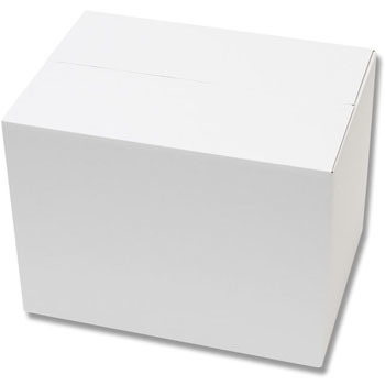 Thermal paper 57mm by 38mm (100 rolls) - Image 4
